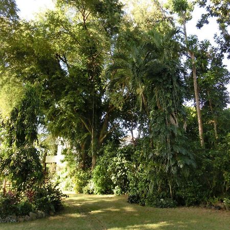 Balay Tuko Garden Inn Пуэрто-Принцеса Экстерьер фото